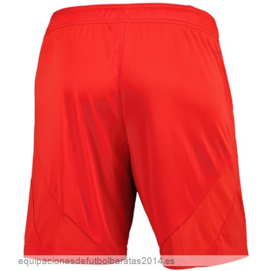 Nuevo 1ª Pantalones Bayern Munich 24/25 Rojo Baratas